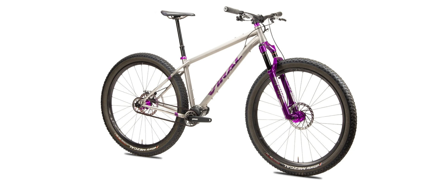 Viral Dérive Complete Bike DEMO BIKE SALE