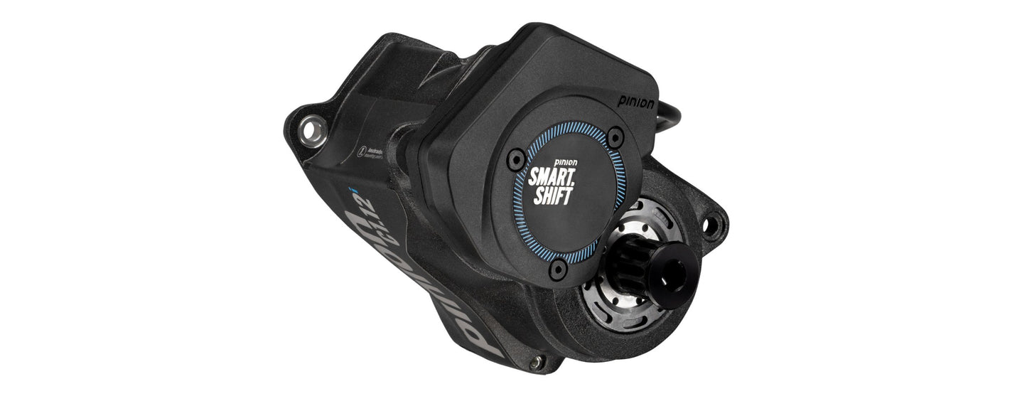 Viral Wander-ee Complete Bike LAUNCH EDITION