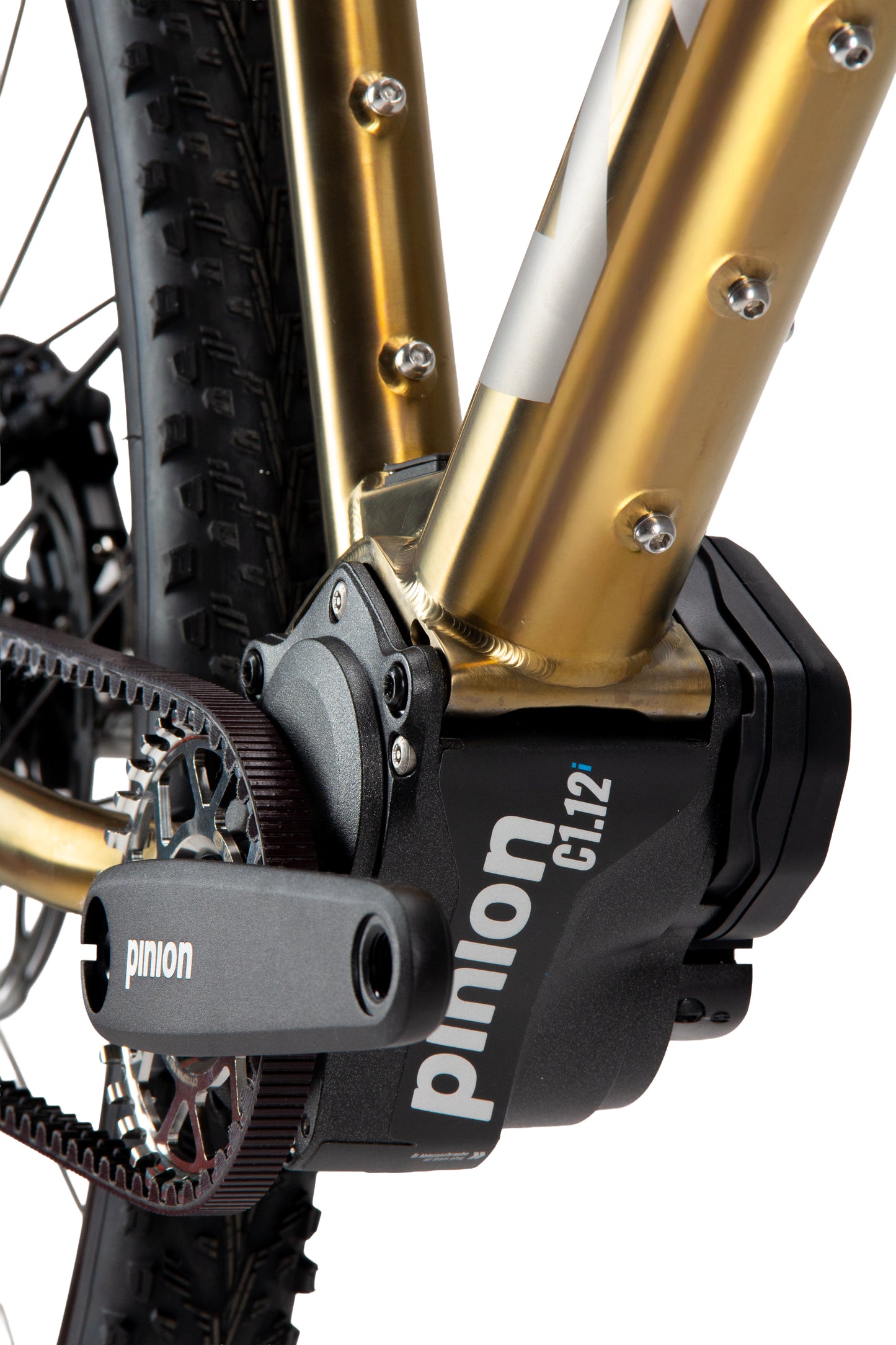 Viral Wander-ee Complete Bike LAUNCH EDITION