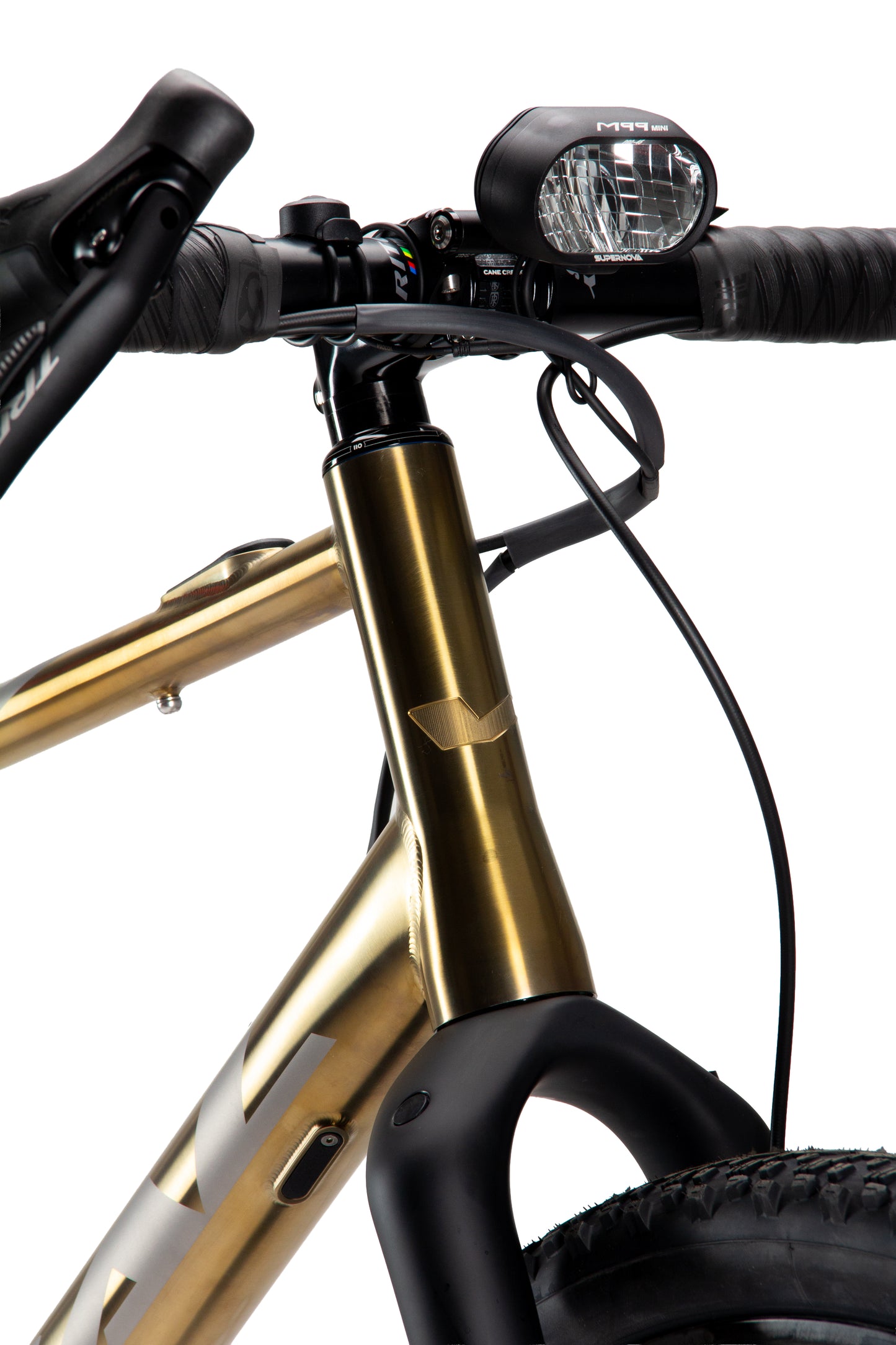 Viral Wander-ee Complete Bike LAUNCH EDITION